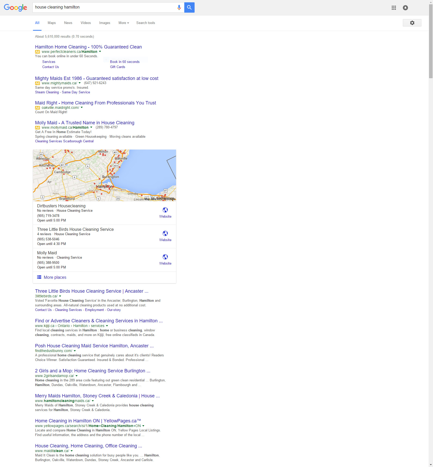 SERP example